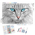 Baby Blue Kitty Eyes — Diamond Painting Kit