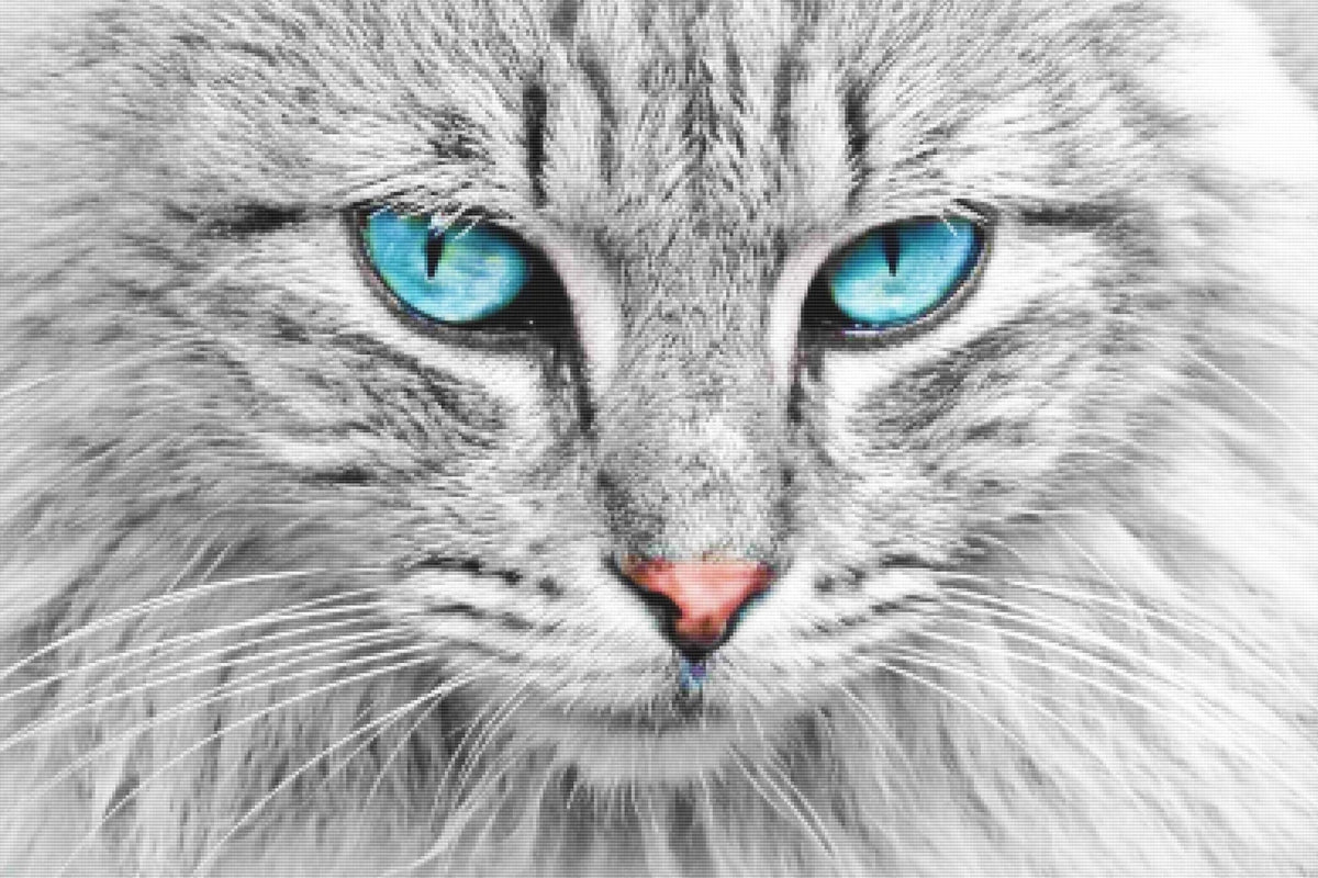Baby Blue Kitty Eyes — Diamond Painting Kit