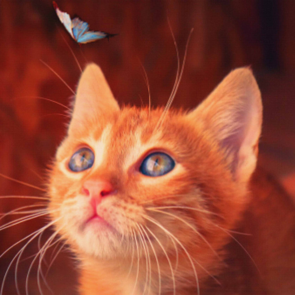 Butterfly Eyes — Diamond Painting Kit