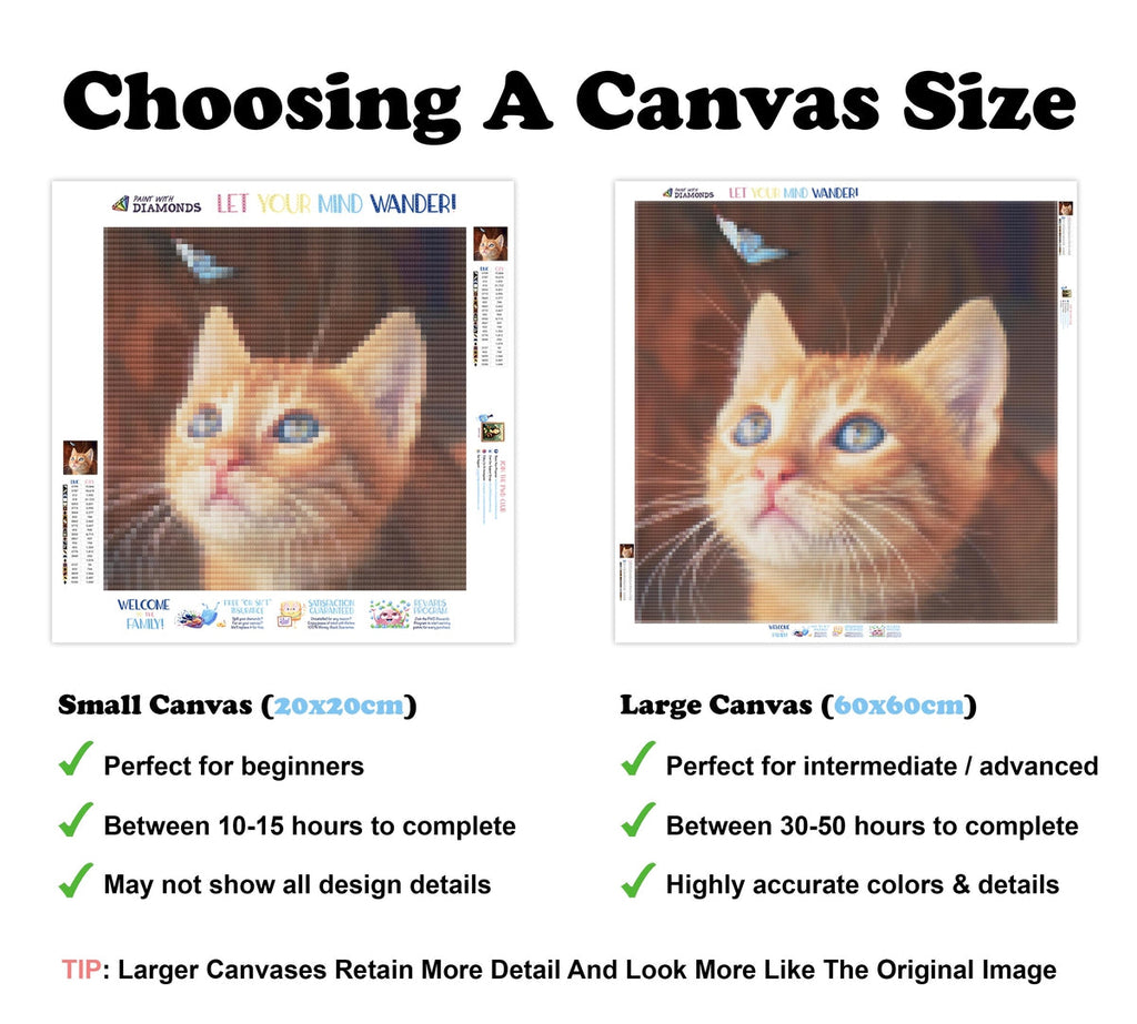 Butterfly Eyes — Diamond Painting Kit
