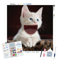 Cat Wine — Diamond Painting Kit