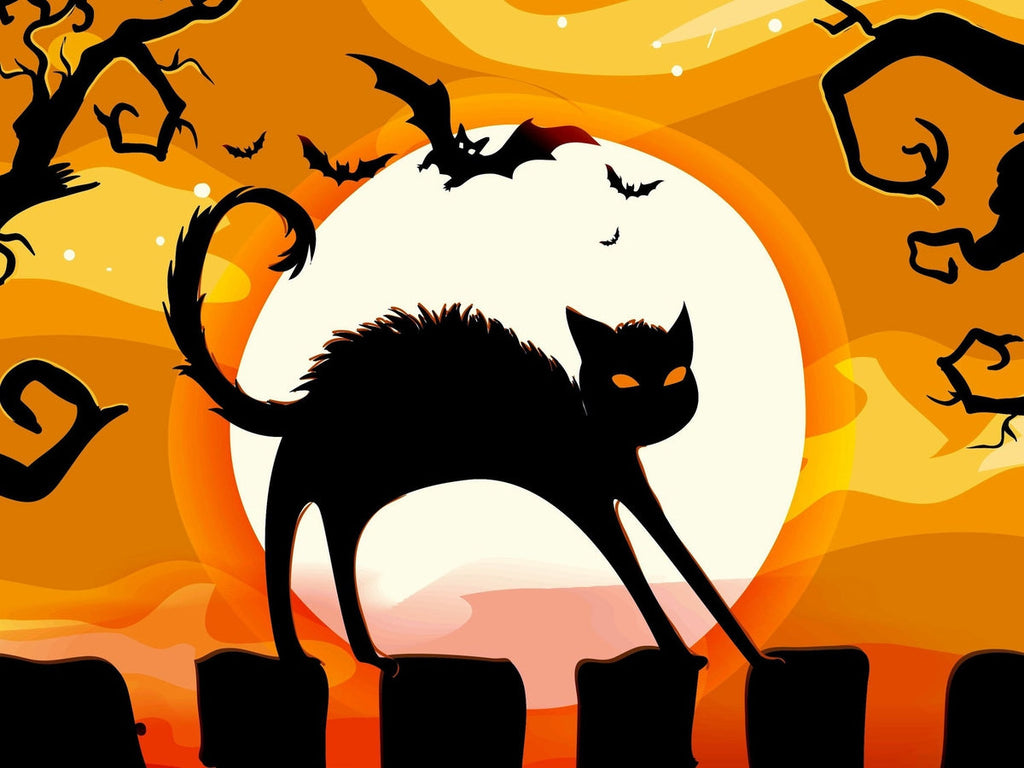 Cat On The Fence — Diamond Painting Kit