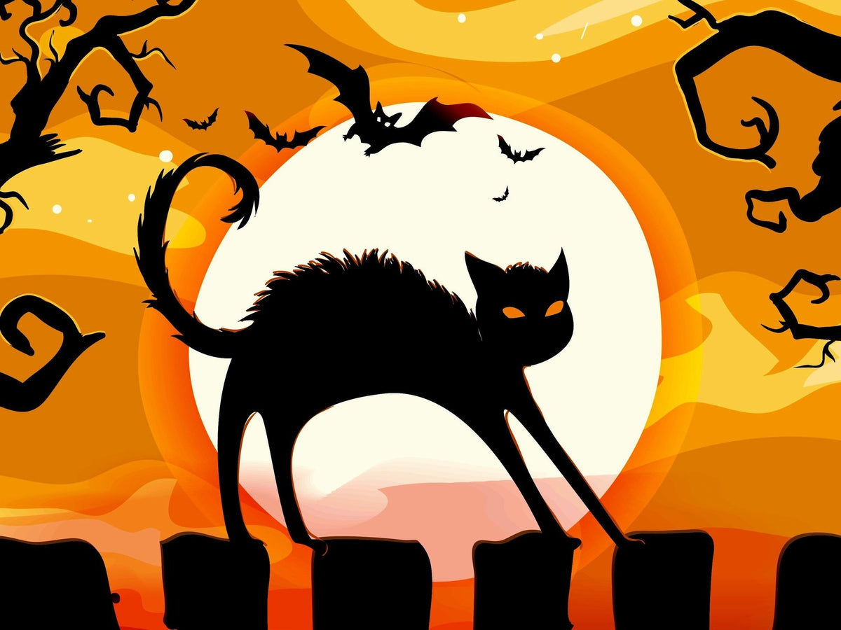 Cat On The Fence — Diamond Painting Kit