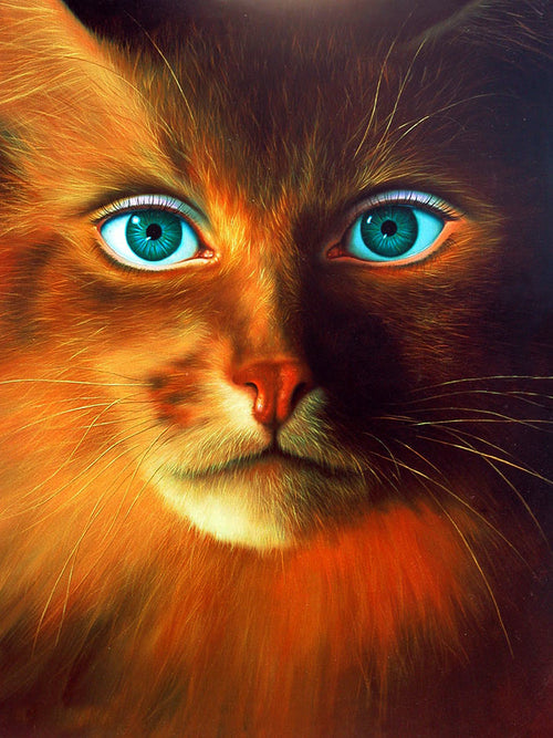 Cat Woman — Diamond Painting Kit