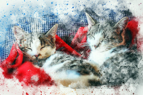 Cozy Kittens — Diamond Painting Kit