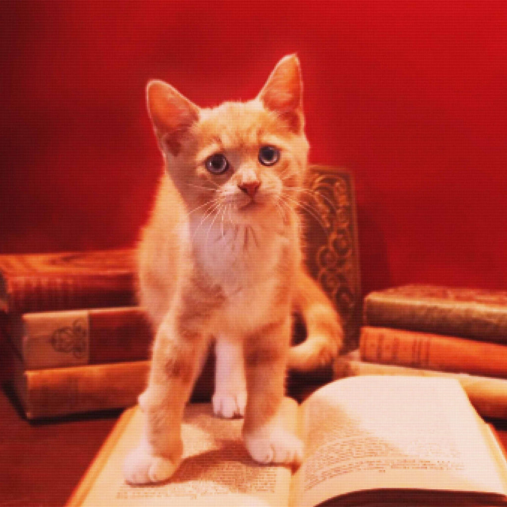 Curious Cat — Diamond Painting Kit