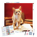 Curious Cat — Diamond Painting Kit