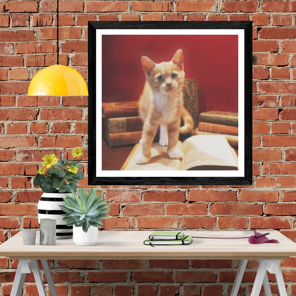 Curious Cat — Diamond Painting Kit