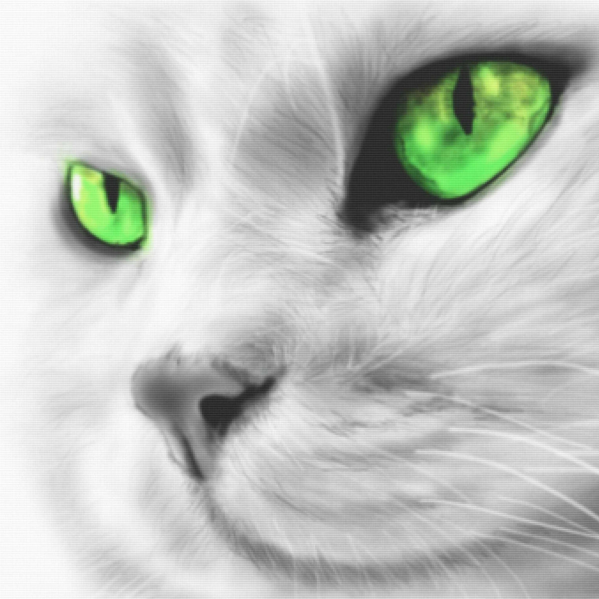 Emerald Eyes — Diamond Painting Kit