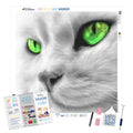 Emerald Eyes — Diamond Painting Kit
