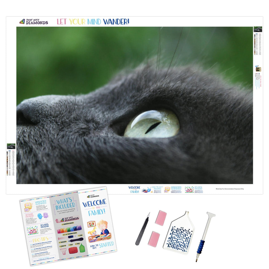 Eyes Like Glass — Diamond Painting Kit