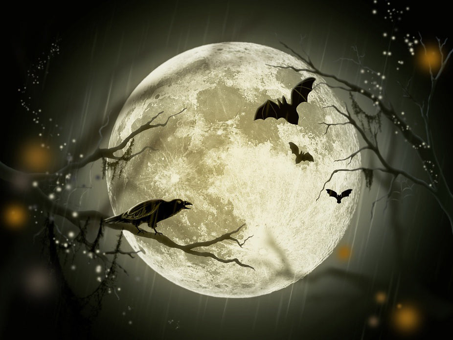 Full Moon On Halloween — Diamond Painting Kit