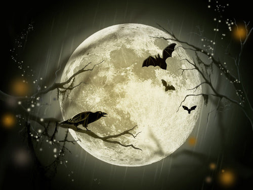 Full Moon On Halloween — Diamond Painting Kit