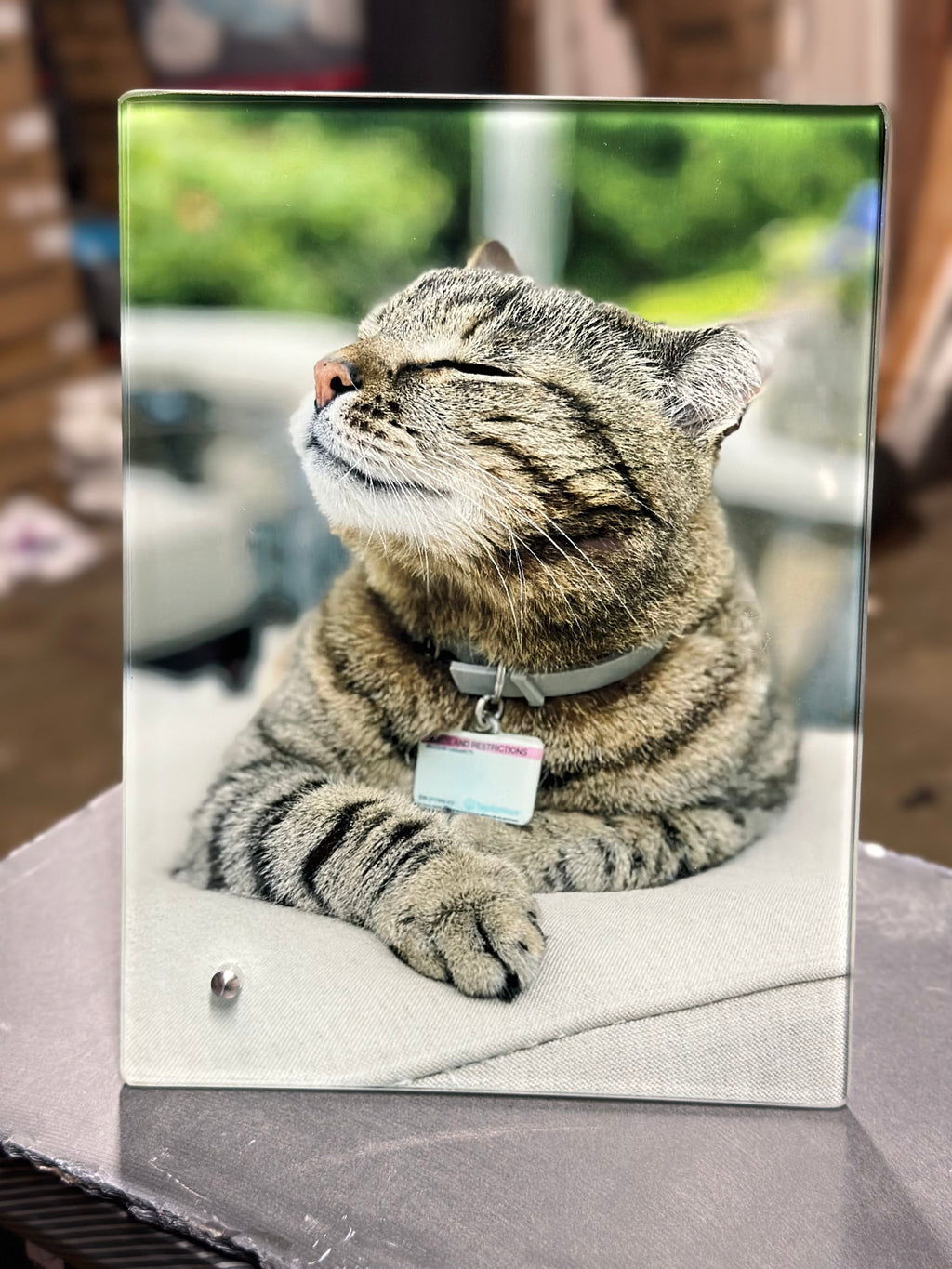 Pet Glass Picture Frame Pet Remembrance Photo — Diamond Painting Kit