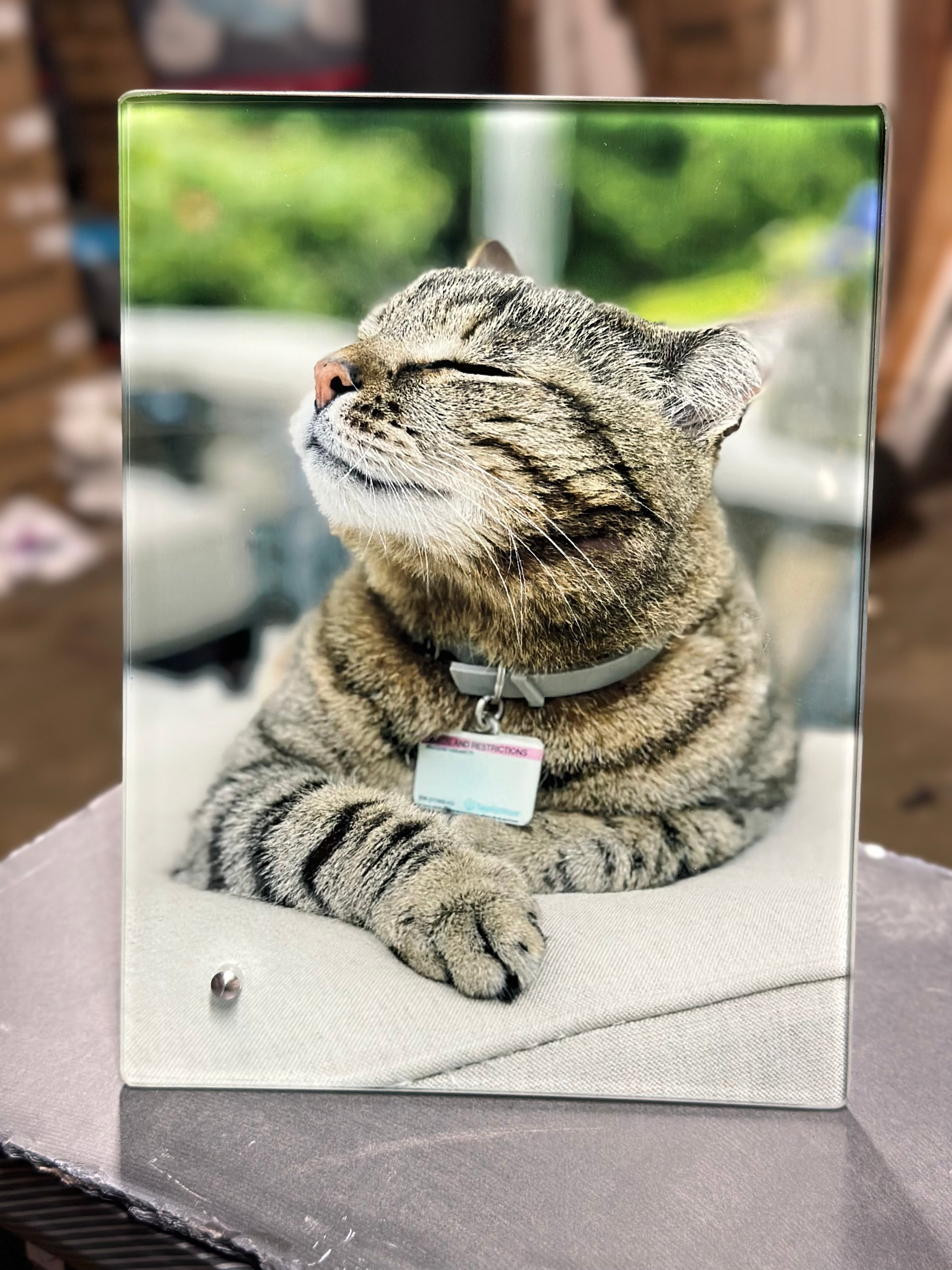Pet Glass Picture Frame Pet Remembrance Photo — Diamond Painting Kit
