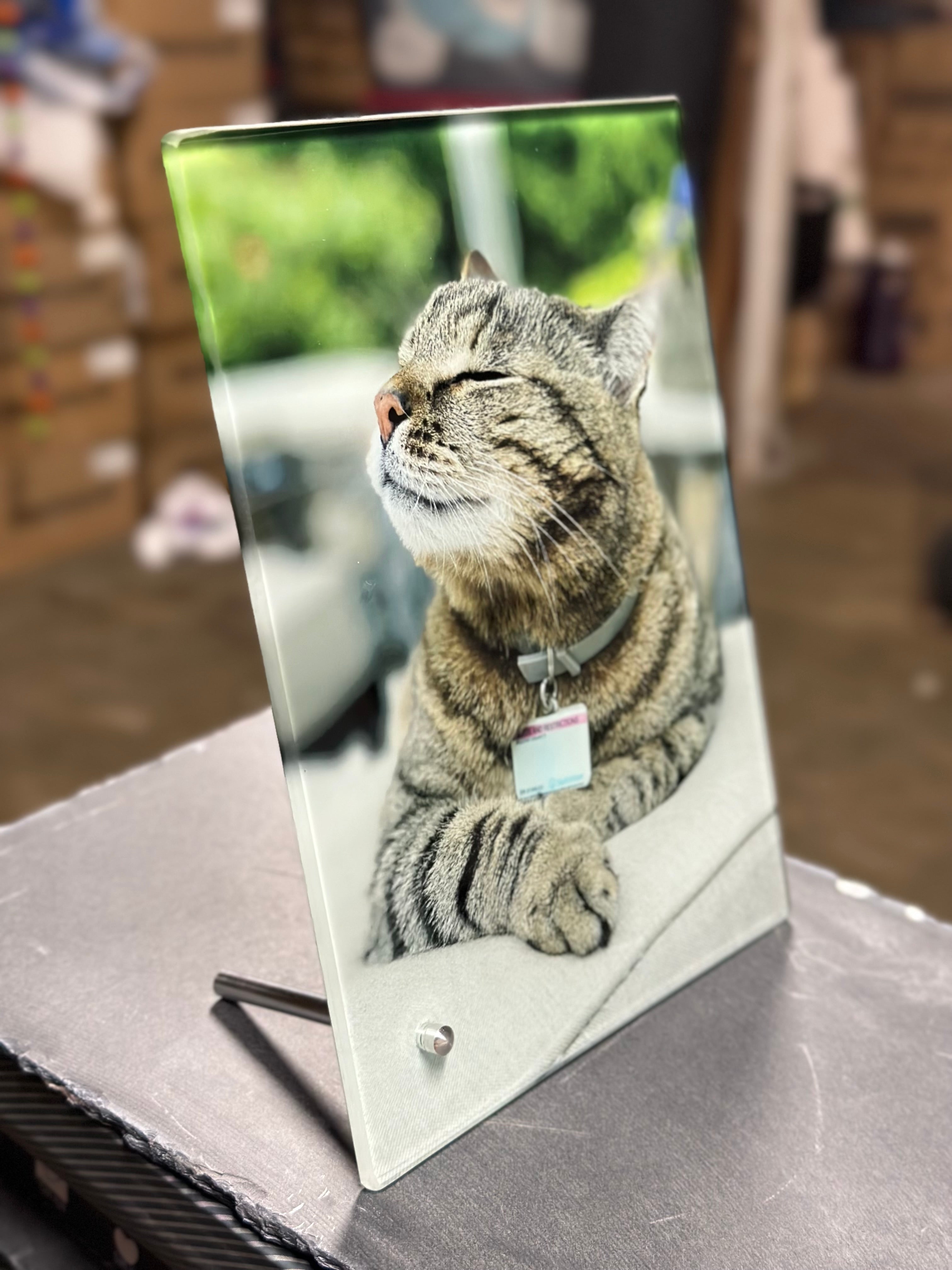 Pet Glass Picture Frame Pet Remembrance Photo — Diamond Painting Kit