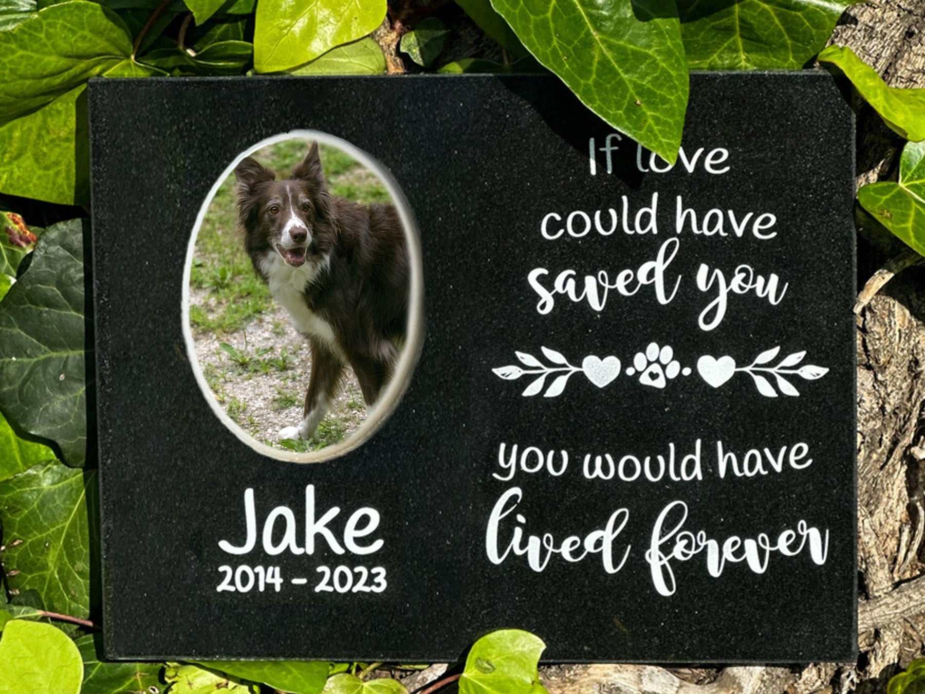 Outdoor Personalized Dog Memorial Plaque If Love Could Have Saved You Personalized Outdoor Plaque