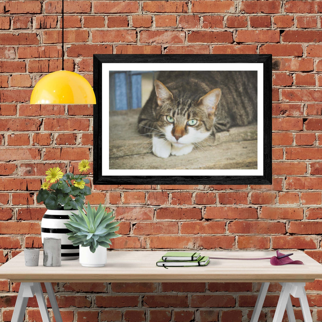 Mieze Eyes — Diamond Painting Kit
