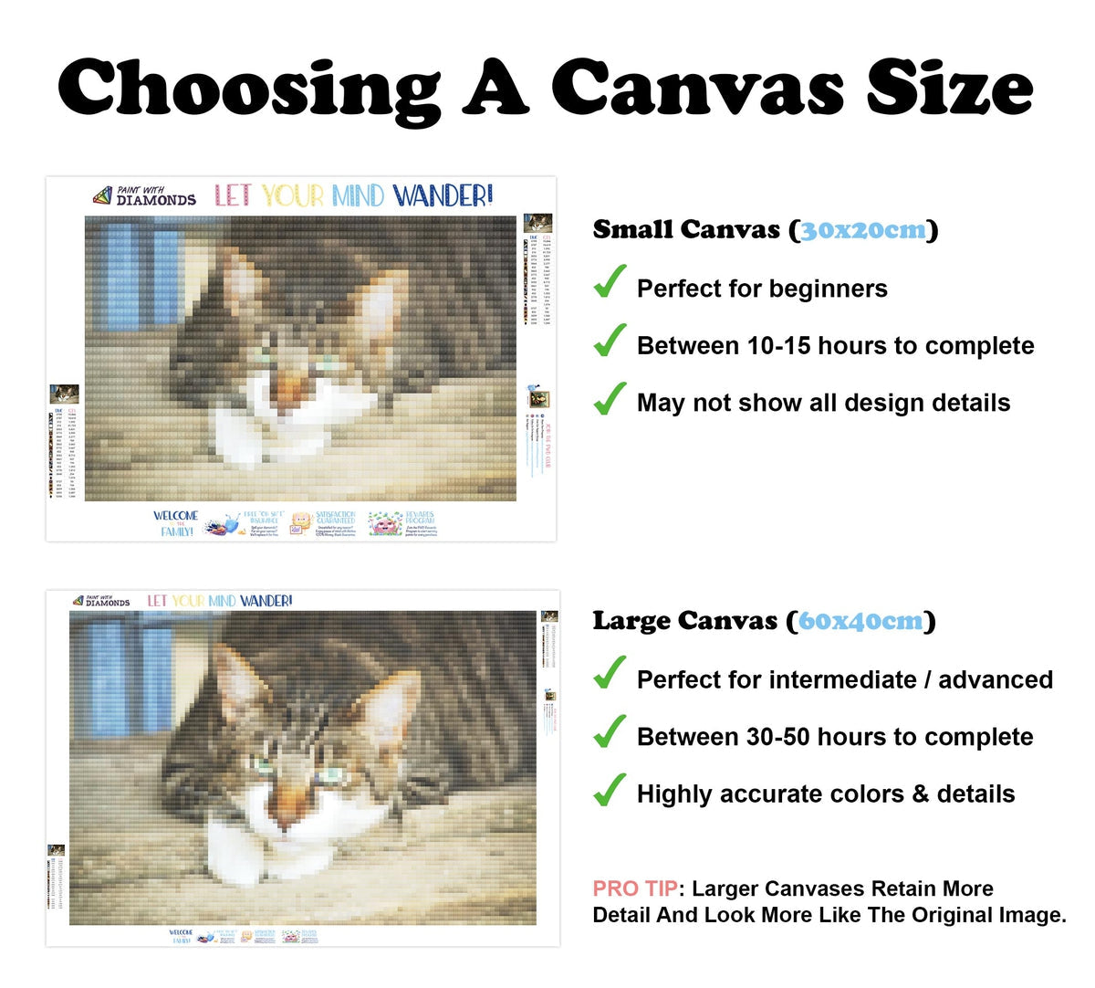 Mieze Eyes — Diamond Painting Kit