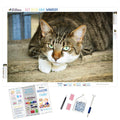 Mieze Eyes — Diamond Painting Kit