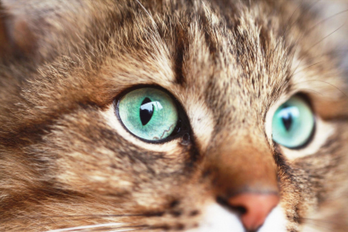 Orion Eyes — Diamond Painting Kit
