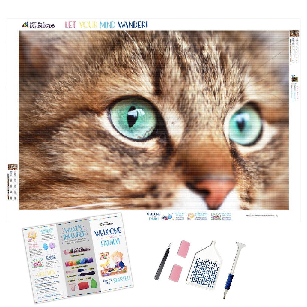 Orion Eyes — Diamond Painting Kit