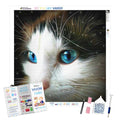 Orion's Belt — Diamond Painting Kit