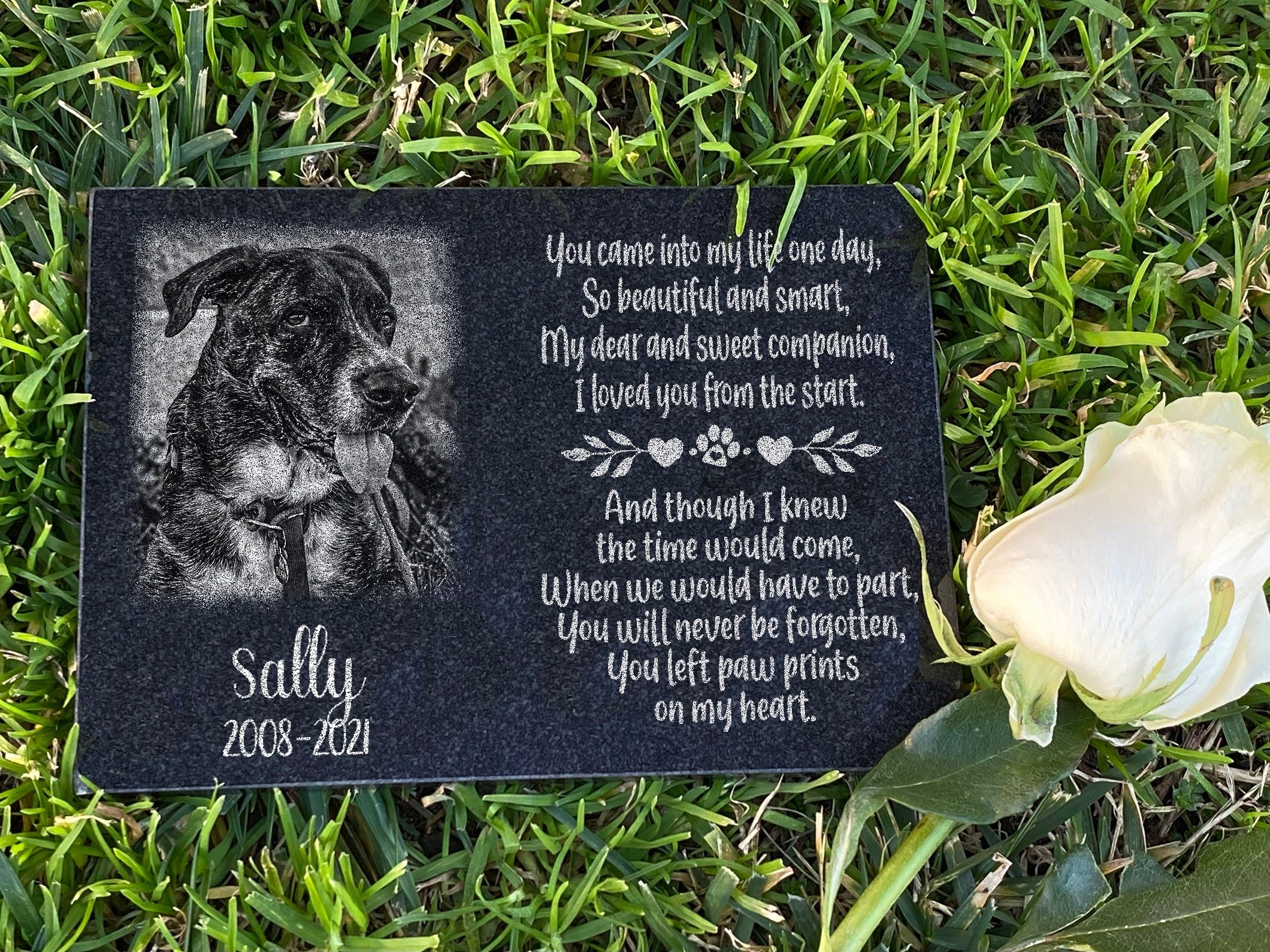 Outdoor Personalized Dog Memorial Plaque You Left Pawprints On My Heart Personalized Outdoor Plaque
