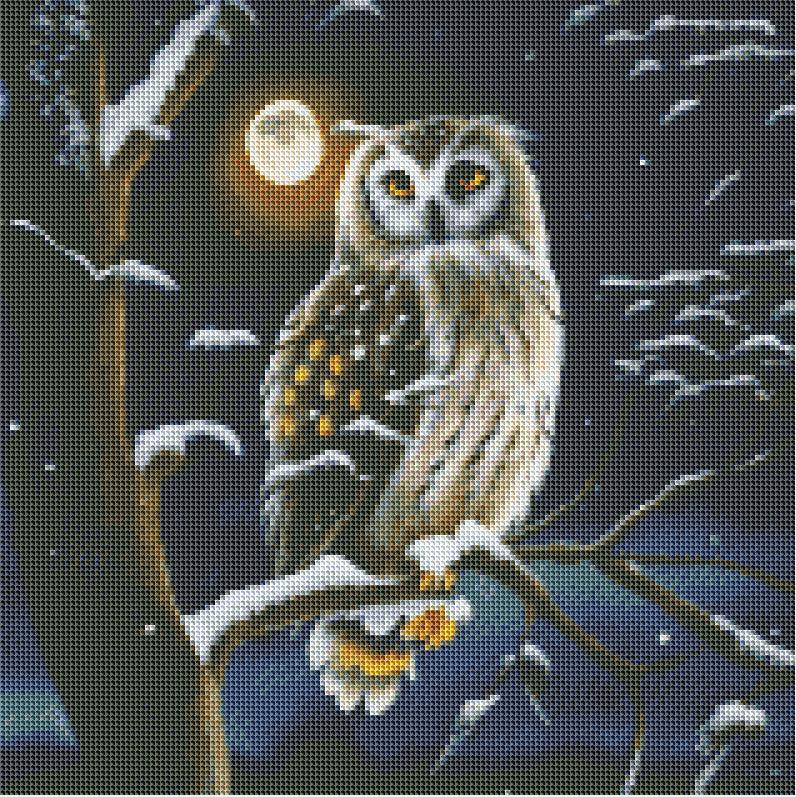 Mystical Owl in Winter Night — Diamond Painting Kit