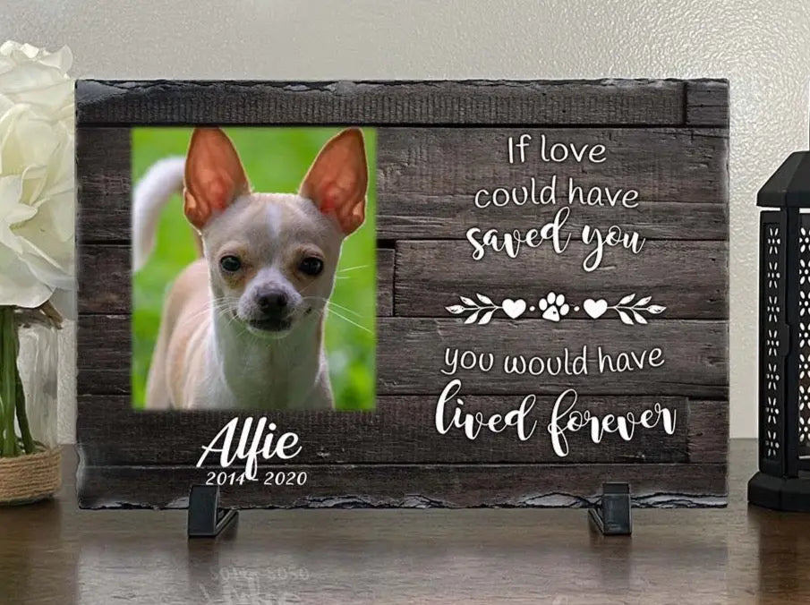 Personalized Dog Memorial If Love Could Have Saved You Personalized Picture Keepsake