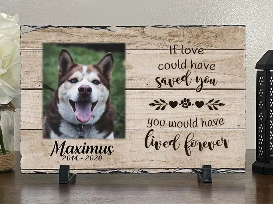 Personalized Dog Memorial If Love Could Have Saved You Personalized Picture Keepsake