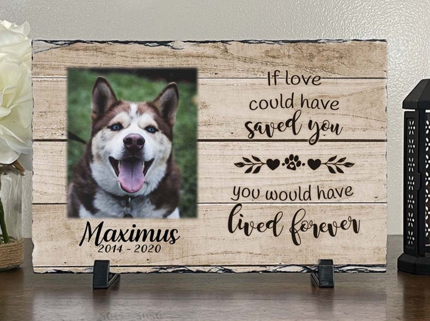 Personalized Dog Memorial If Love Could Have Saved You Personalized Picture Keepsake