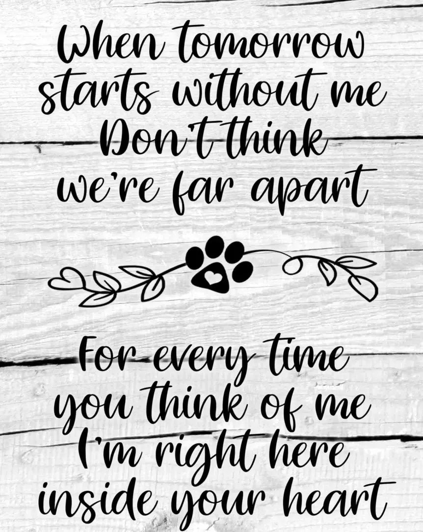 Personalized Dog Memorial When Tomorrow Starts without me Personalized Picture Keepsake