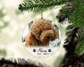 Personalized Dog Memorial Christmas Ornament Personalized Picture Keepsake — Diamond Painting Kit