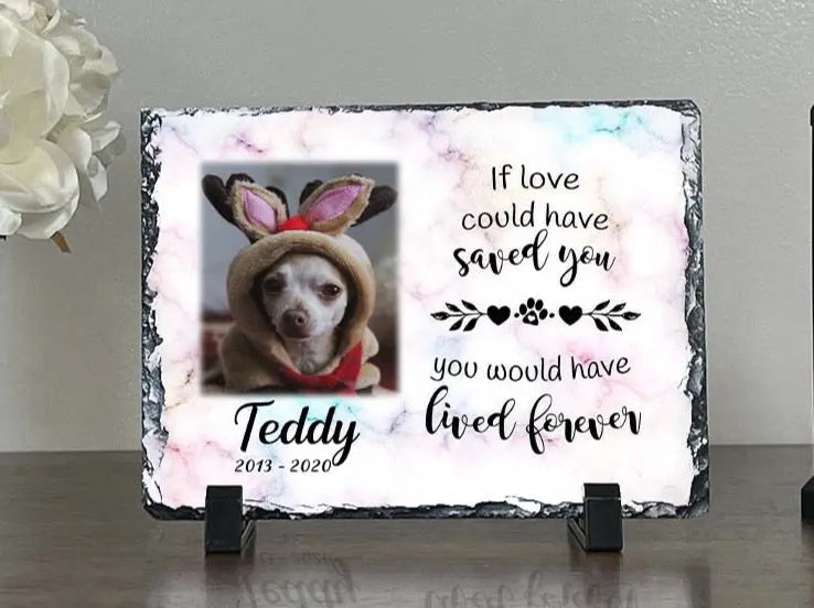 Personalized Dog Memorial Plaque If Love Could Have Saved You Personalized Picture Keepsake