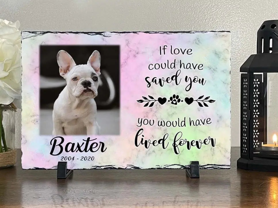 Personalized Dog Memorial Plaque If Love Could Have Saved You Personalized Picture Keepsake