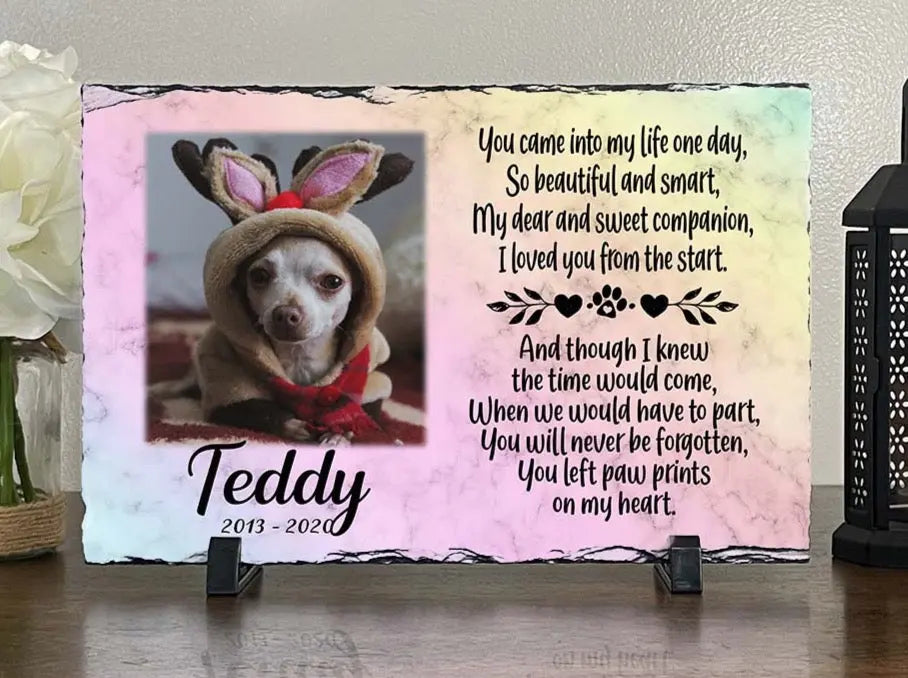 Unique Rainbow Bridge Pet loss Personalized Dog Memorial Plaque You left paw prints on my heart Personalized Picture Keepsake