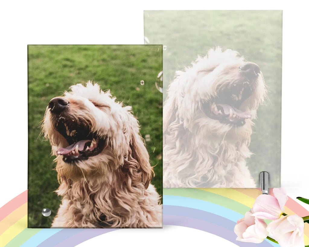 Pet Glass Picture Frame Pet Remembrance Photo — Diamond Painting Kit