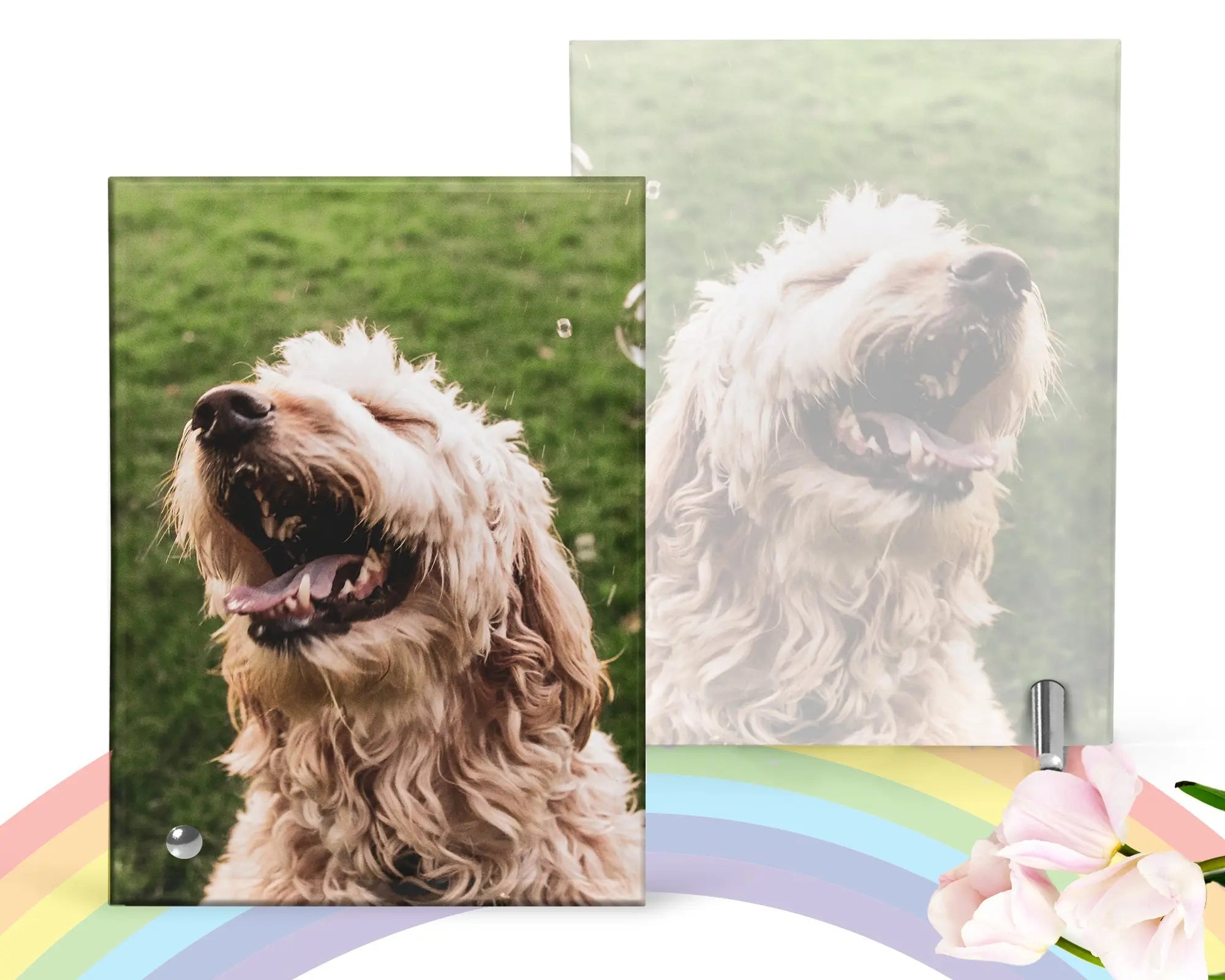 Pet Glass Picture Frame Pet Remembrance Photo — Diamond Painting Kit
