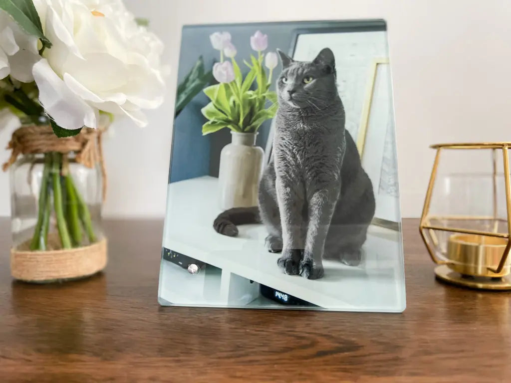 Pet Glass Picture Frame Pet Remembrance Photo — Diamond Painting Kit