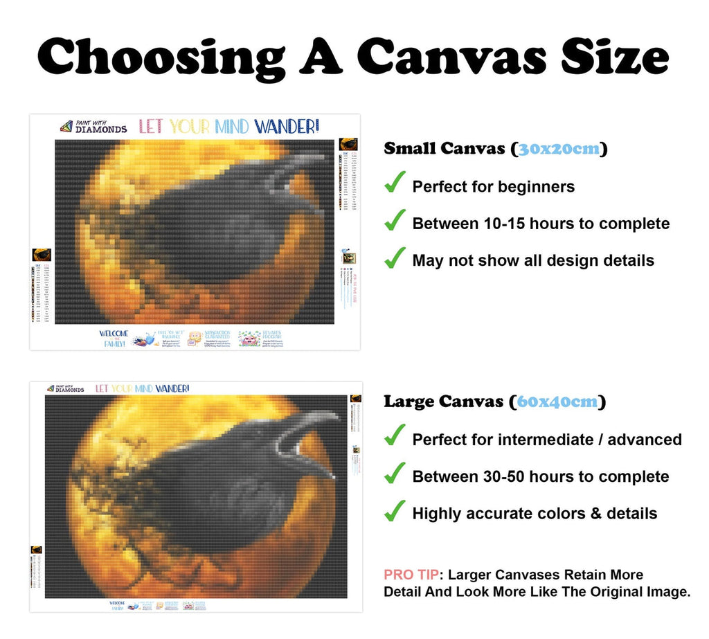 Raven Emergence — Diamond Painting Kit