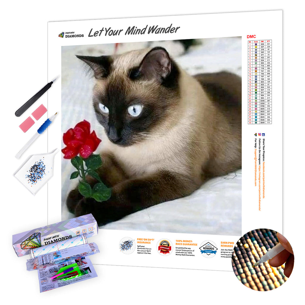 Romeo Kitty — Diamond Painting Kit