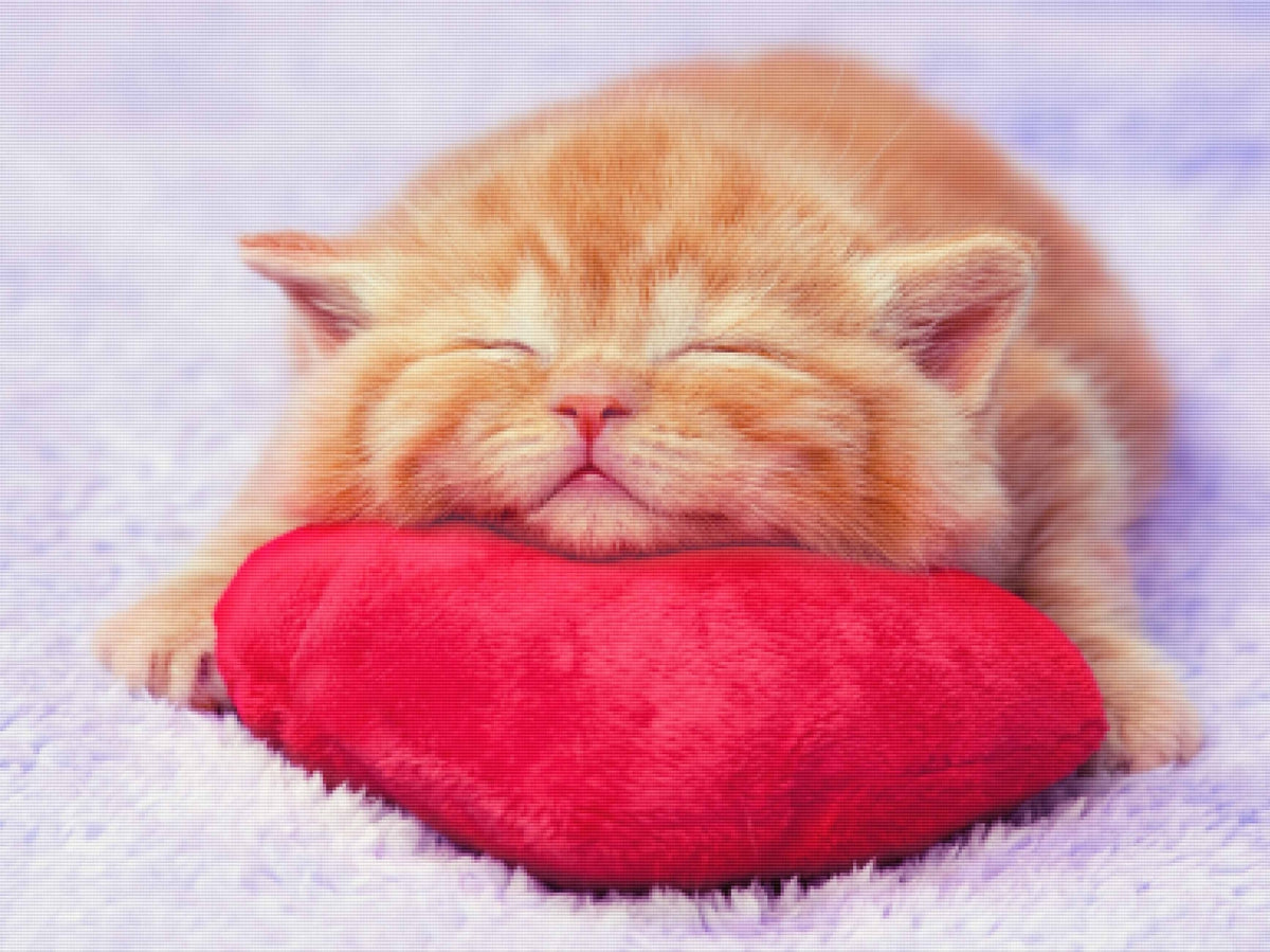 So Soft — Diamond Painting Kit