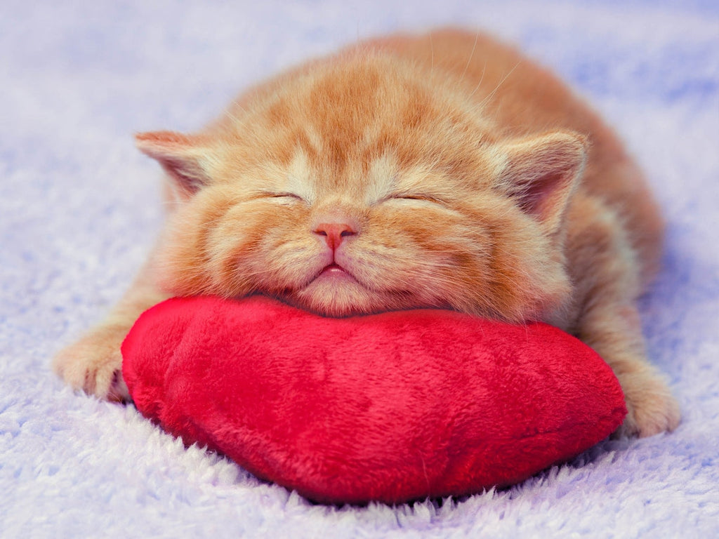 So Soft — Diamond Painting Kit