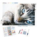 Tabby Baby Blues — Diamond Painting Kit