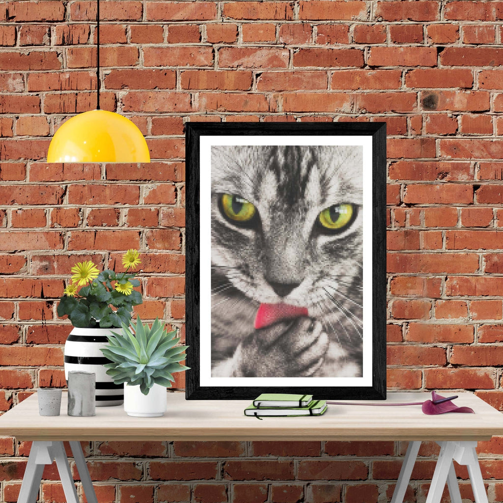 Tabby Portrait — Diamond Painting Kit