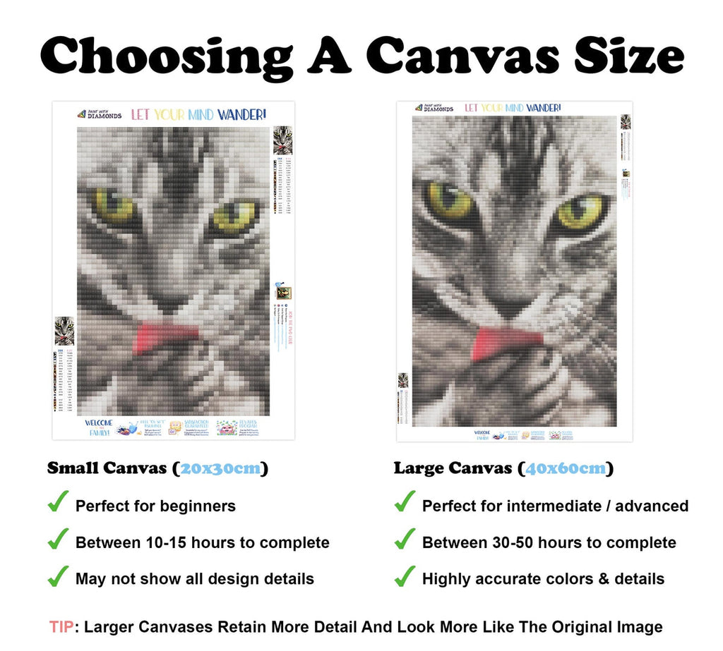 Tabby Portrait — Diamond Painting Kit