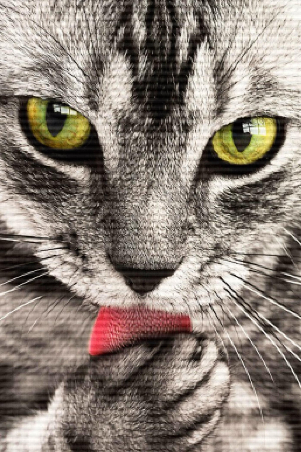 Tabby Portrait — Diamond Painting Kit