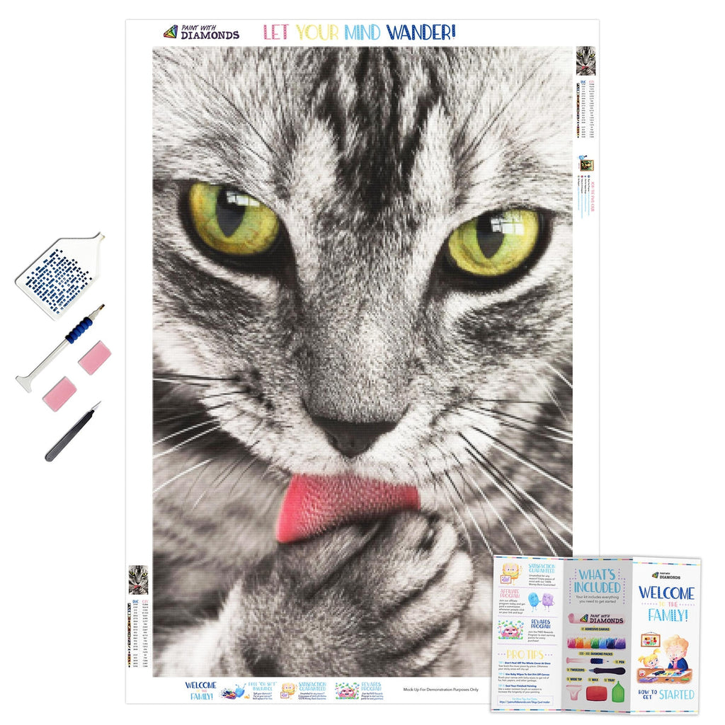 Tabby Portrait — Diamond Painting Kit