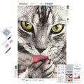Tabby Portrait — Diamond Painting Kit